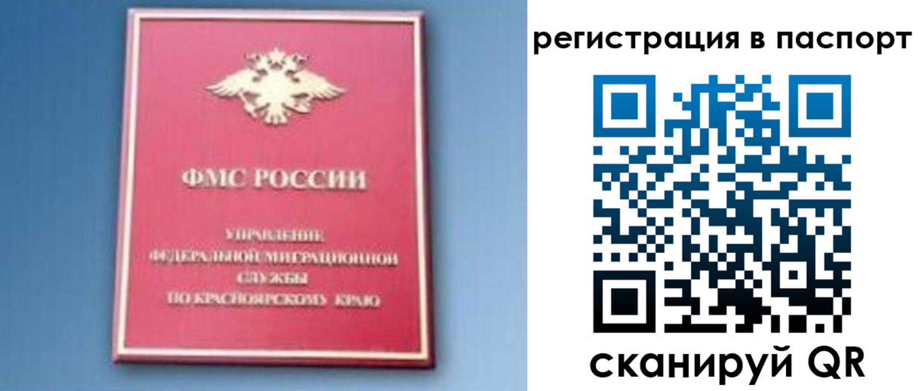 регистрация в Ярославской области